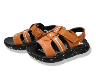 A0132 brown, 6 (26-31), <strong>240</strong>, літо