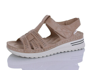 165-3, 8 (37-42), <strong>480</strong>, літо