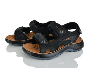 T64-3A, 8 (32-37), <strong>540</strong>, літо