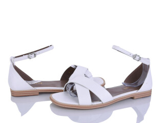 8038-47, 8 (36-41), <strong>590</strong>, літо