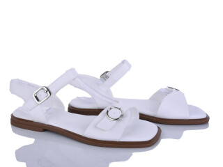 2816-12, 8 (36-41), <strong>590</strong>, літо