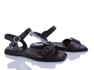 2816-14, 8 (36-41), <strong>590</strong>, літо