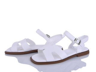 2816-18, 8 (36-41), <strong>590</strong>, літо