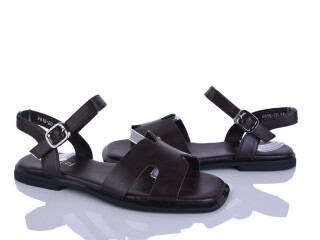 2816-20, 8 (36-41), <strong>590</strong>, літо