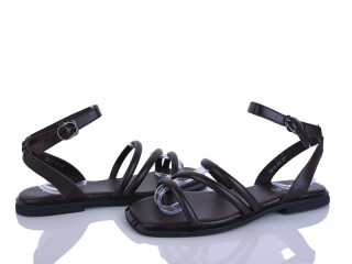 2818-53, 8 (36-41), <strong>590</strong>, літо