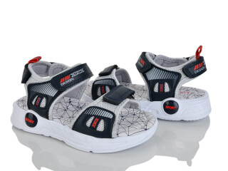 FG2447-2B, 8 (28-33), <strong>330</strong>, літо