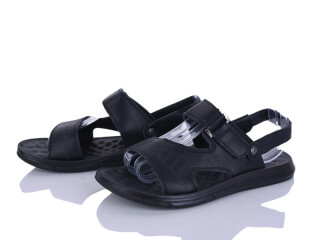 036-1, 8 (40-45), <strong>370</strong>, літо