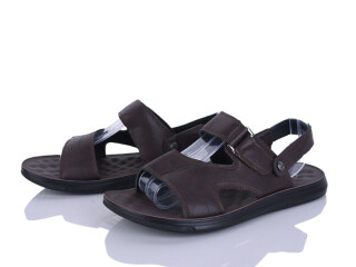 036-2, 8 (40-45), <strong>370</strong>, літо