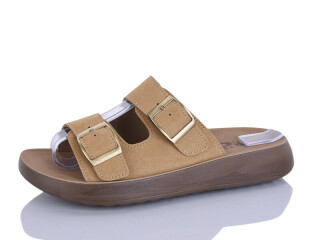 ZK009-3, 8 (36-41), <strong>450</strong>, літо