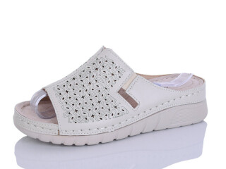 G95-1, 8 (37-42), <strong>450</strong>, літо