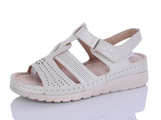 G97-1, 8 (37-42), <strong>450</strong>, літо