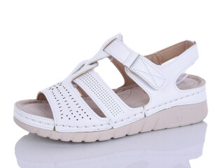 G97-2, 8 (37-42), <strong>450</strong>, літо