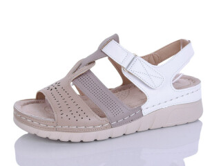 G97-9, 8 (37-42), <strong>450</strong>, літо