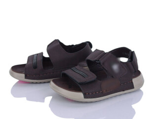 C16 coffee, 8 (26-31), <strong>510</strong>, літо