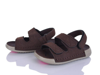 C12-2, 8 (26-31), <strong>510</strong>, літо