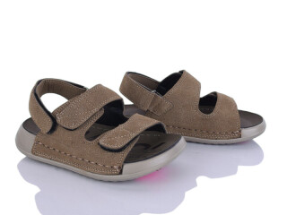 C12-3, 8 (26-31), <strong>510</strong>, літо