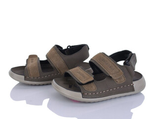 C15 green, 8 (26-31), <strong>510</strong>, літо