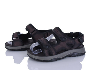 M25-2A, 8 (32-37), <strong>490</strong>, літо