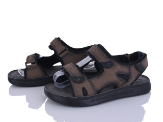 M25-3C, 8 (36-41), <strong>510</strong>, літо