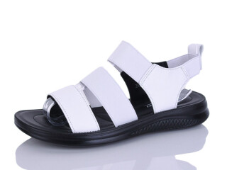 ZK323-2, 8 (36-41), <strong>450</strong>, літо