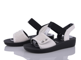 C4-2, 8 (36-41), <strong>255</strong>, літо