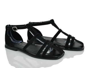 2817-40, 8 (36-41), <strong>590</strong>, літо