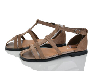 2817-42, 8 (36-41), <strong>590</strong>, літо