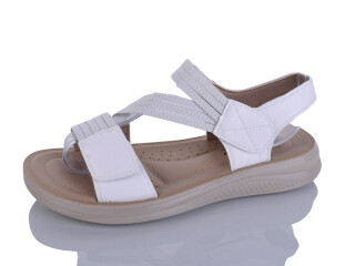 ZK311-2, 8 (36-41), <strong>470</strong>, літо