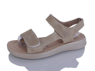 ZK303-7, 8 (36-41), <strong>450</strong>, літо