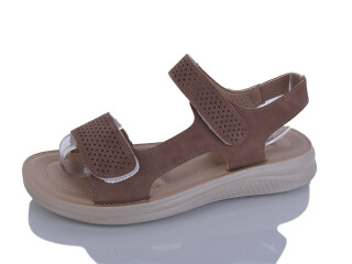 ZK303-8, 8 (36-41), <strong>450</strong>, літо