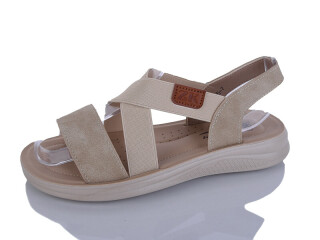 ZK305-7, 8 (36-41), <strong>450</strong>, літо