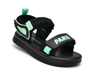 A1703C, 14 (31-37), <strong>295</strong>, літо