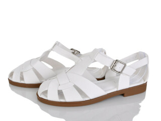 2236-77, 8 (36-41), <strong>590</strong>, літо