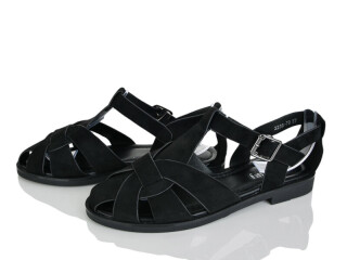 2236-79, 8 (36-41), <strong>590</strong>, літо