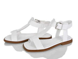 2818-58, 8 (36-41), <strong>590</strong>, літо