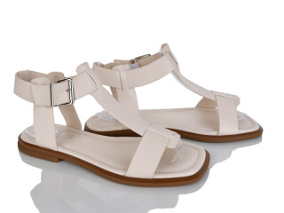 2818-59, 8 (36-41), <strong>590</strong>, літо