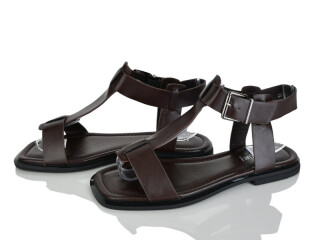 2818-60, 8 (36-41), <strong>590</strong>, літо