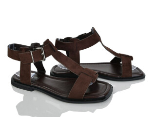 2818-62, 8 (36-41), <strong>590</strong>, літо