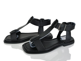 2818-63, 8 (36-41), <strong>590</strong>, літо