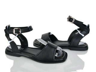 2818-64, 8 (36-41), <strong>590</strong>, літо