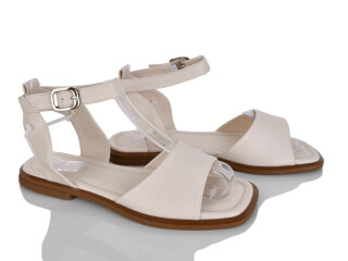 2818-66, 8 (36-41), <strong>590</strong>, літо