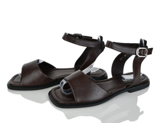 2818-67, 8 (36-41), <strong>590</strong>, літо