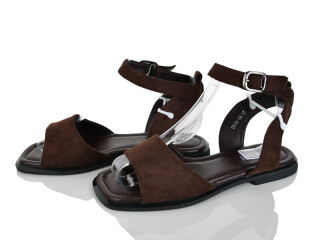 2818-69, 8 (36-41), <strong>590</strong>, літо