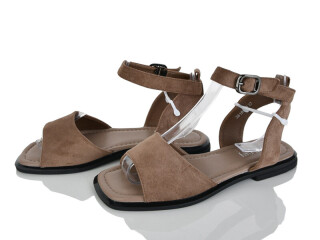 2818-70, 8 (36-41), <strong>590</strong>, літо