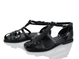 2817-36, 8 (36-41), <strong>580</strong>, літо