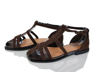 2817-41, 8 (36-41), <strong>580</strong>, літо