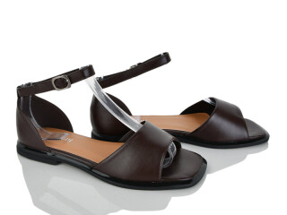 2817-46, 8 (36-41), <strong>580</strong>, літо