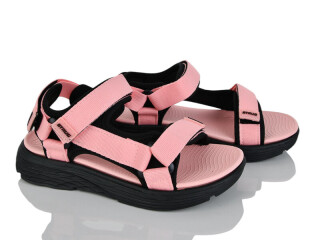 L851-3-8, 8 (31-37), <strong>410</strong>, літо