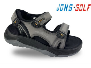 C20637-2, 8 (31-38), <strong>535</strong>, літо