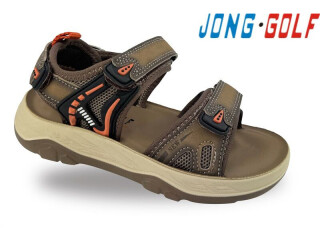 C20638-3, 8 (31-38), <strong>535</strong>, літо